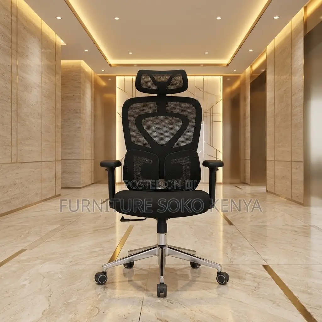 Orthopedic Modern Seats | Dual Spine Support Chair