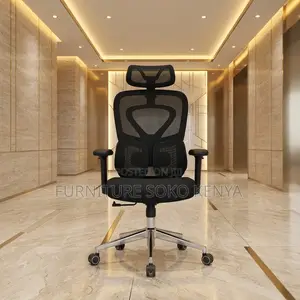 Orthopedic Modern Seats | Dual Spine Support Chair