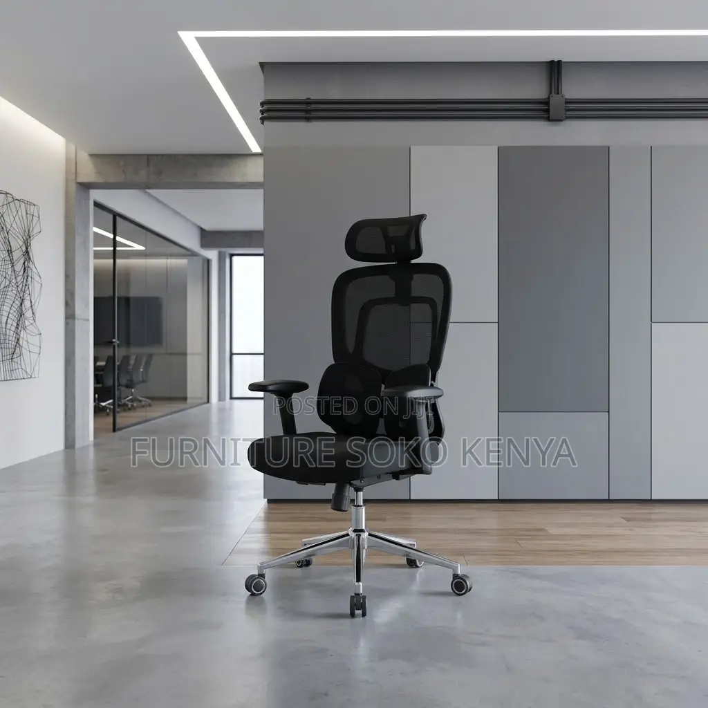 Orthopedic Modern Seats | Dual Spine Support Chair