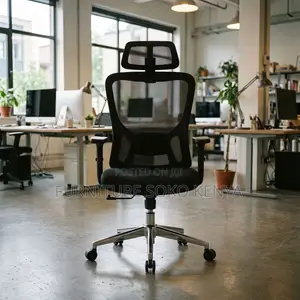 Office Chair : Orthopedic Mesh Task Office Chair