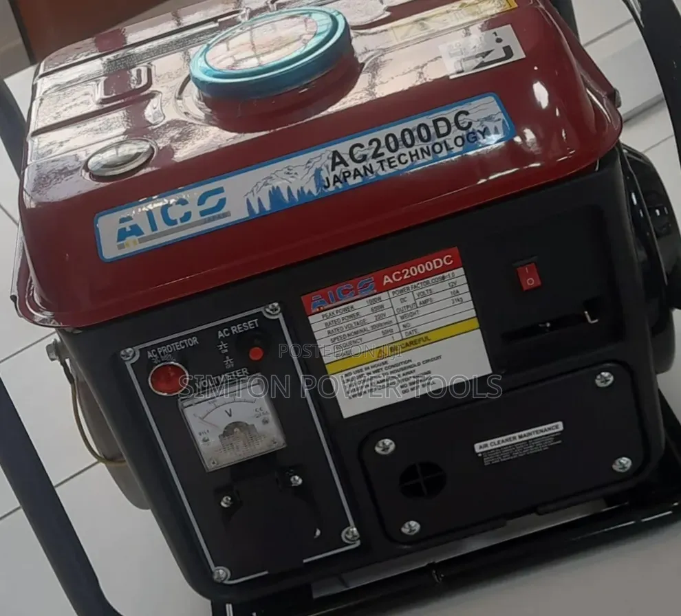 Portable Gasoline Generator.