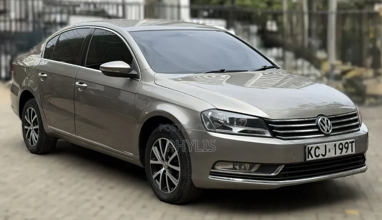 Volkswagen Passat 2014 Brown