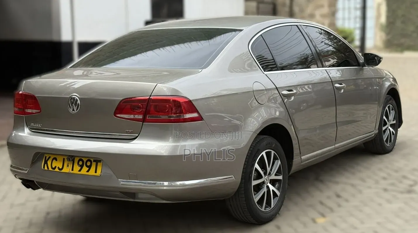 Volkswagen Passat 2014 Brown