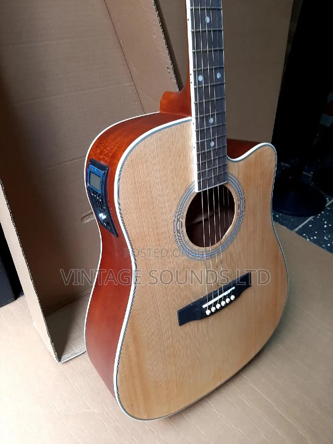 Ebanez Full Size Semi Acoustic Box Guitar With Inbuilt Tuner