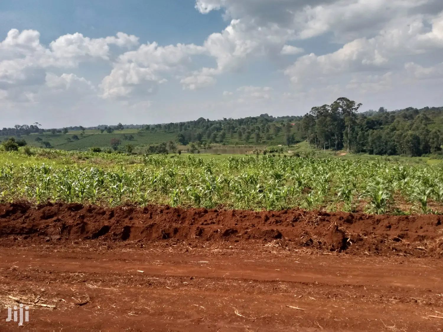 Residential Plot for Sale Matrofi Estate Tinganga