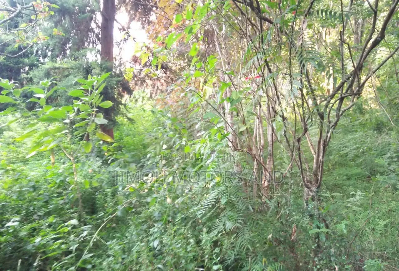 Land in Old Kitisuru