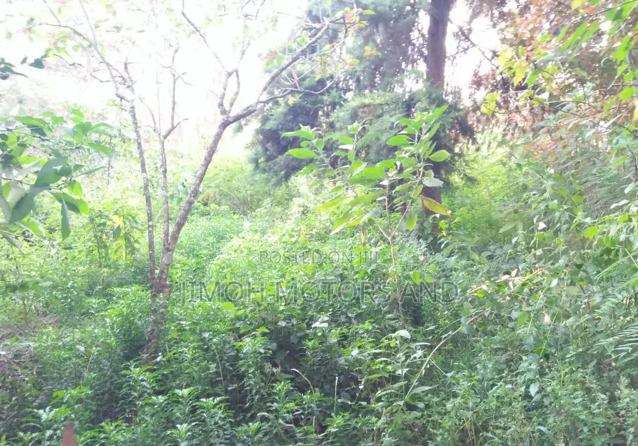 Land in Old Kitisuru