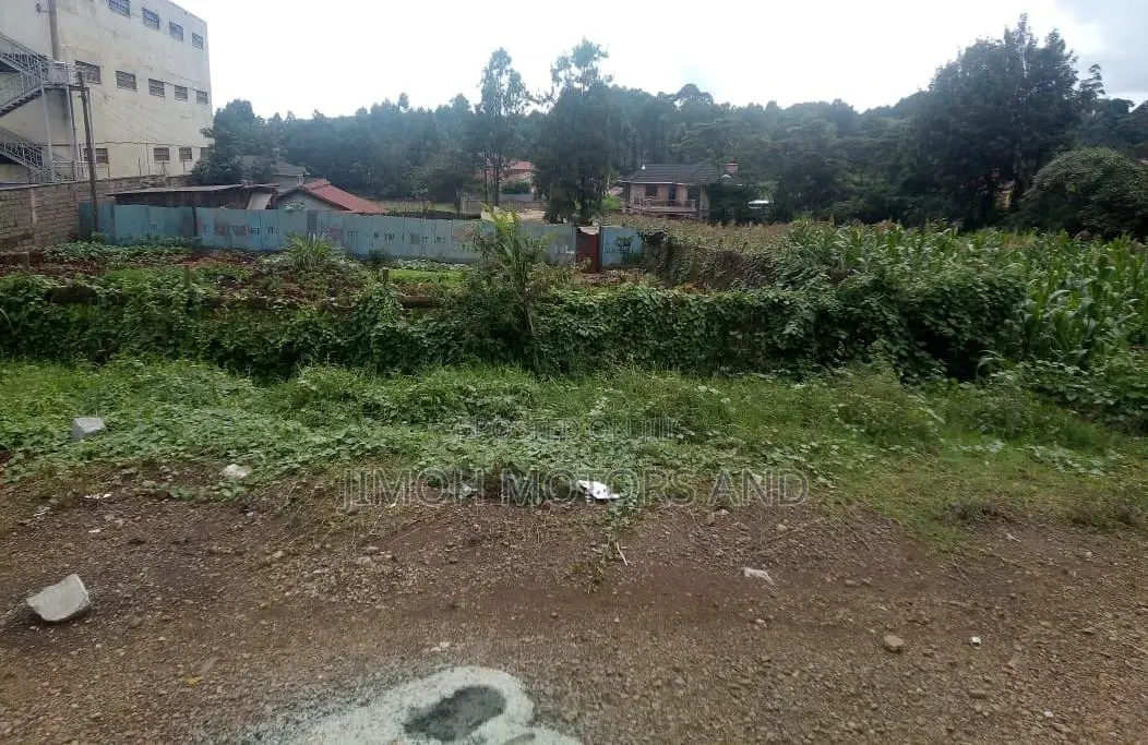 Land Along Naivasha Highway