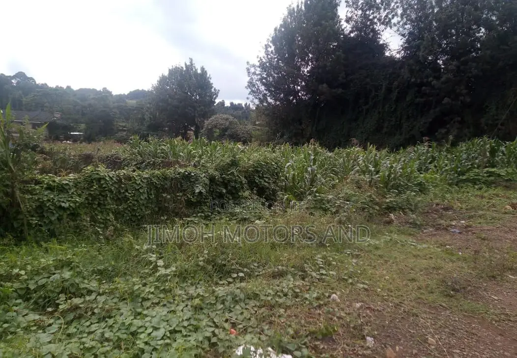 Land Along Naivasha Highway
