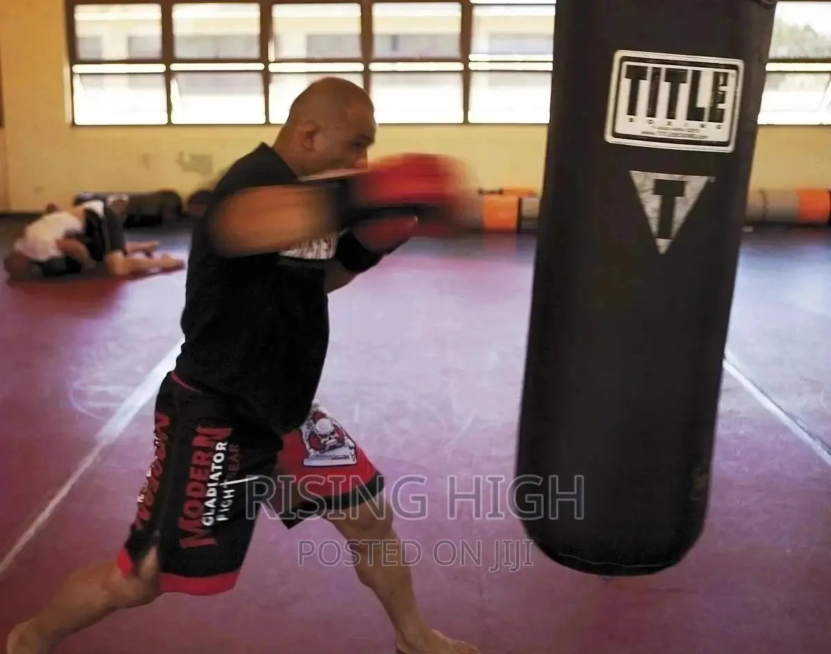Punching Bag